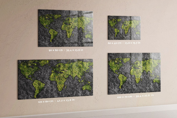 Magnetwand Weltkarte