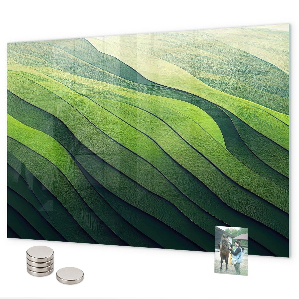 Magnettafel Abstrakte grüne Felder