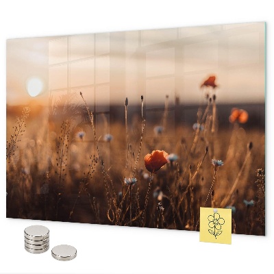 Magnetwand Sonnenaufgang auf dem Feld