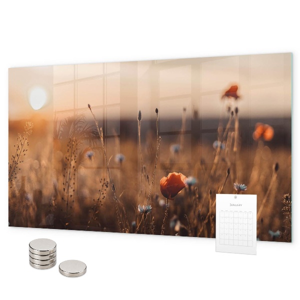 Magnetwand Sonnenaufgang auf dem Feld
