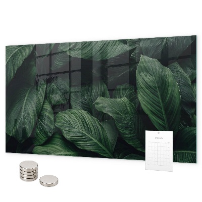 Magnetwand Tropische Monstera
