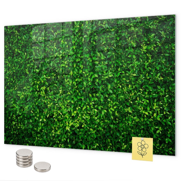Magnettafel Heckenblätter