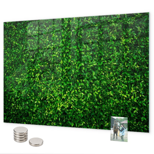 Magnettafel Heckenblätter