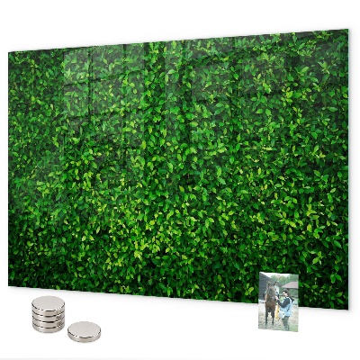 Magnettafel Heckenblätter