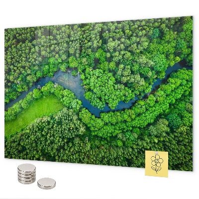 Magnetwand Fluss im Wald