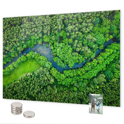 Magnetwand Fluss im Wald