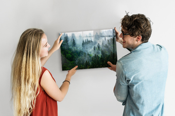 Magnettafel Nebelwald