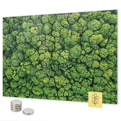 Magnetwand Wald aus der Vogelperspektive
