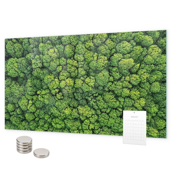 Magnetwand Wald aus der Vogelperspektive