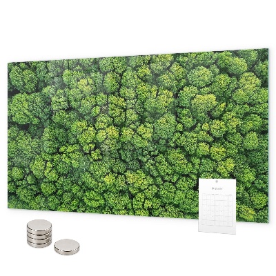 Magnetwand Wald aus der Vogelperspektive