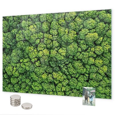 Magnetwand Wald aus der Vogelperspektive