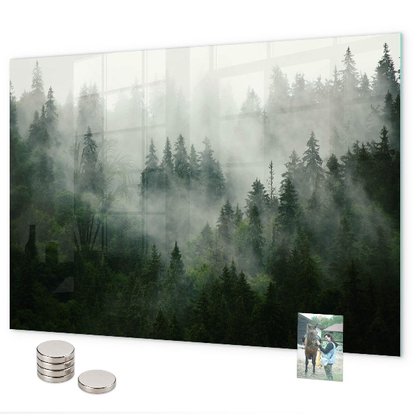 Magnettafel Nebelwald