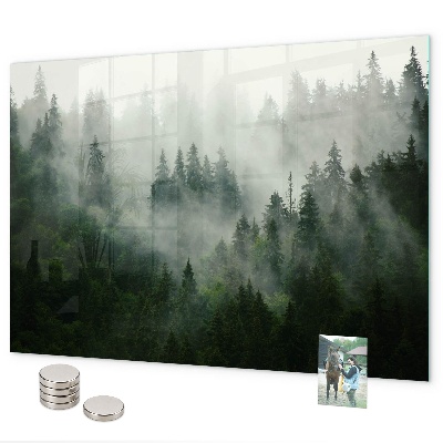Magnettafel Nebelwald
