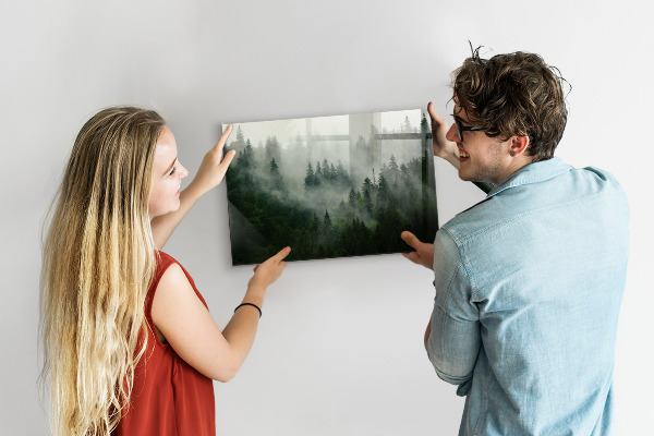 Magnettafel Nebelwald