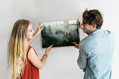 Magnettafel Nebelwald