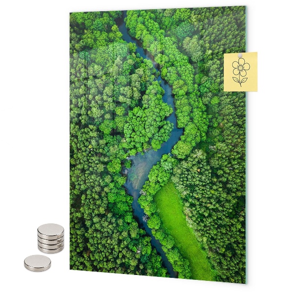 Magnetbild Waldbäume Fluss