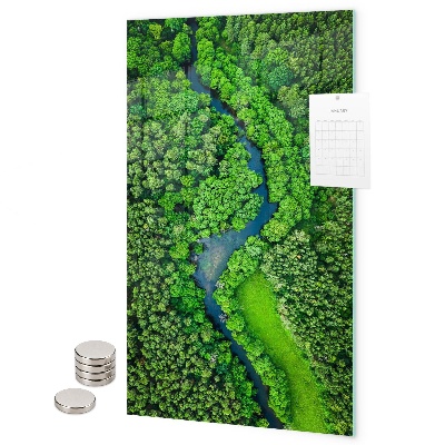 Magnetbild Waldbäume Fluss
