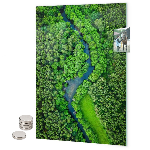 Glas magnettafel Tropische Blätter