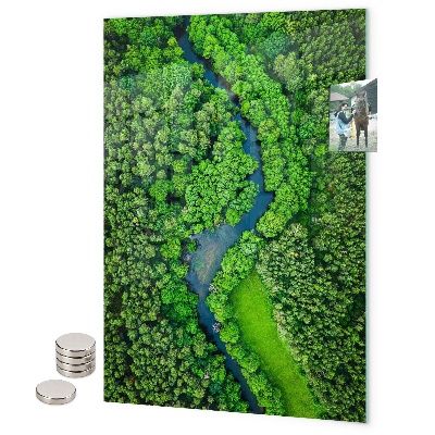 Glas magnettafel Tropische Blätter