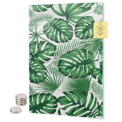 Glas magnettafel Blätter der tropischen Monstera