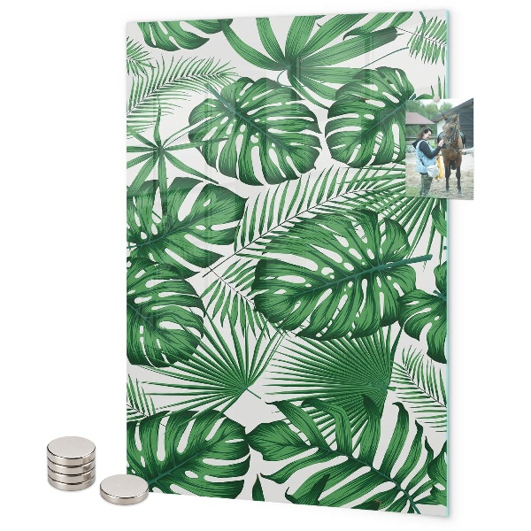Glas magnettafel Blätter der tropischen Monstera