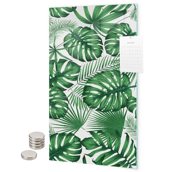 Glas magnettafel Blätter der tropischen Monstera
