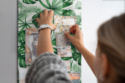 Glas magnettafel Blätter der tropischen Monstera