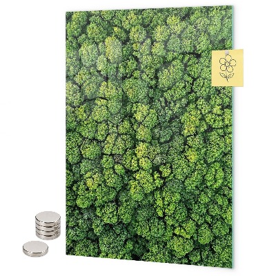 Magnetbild Bäume Natur Wald