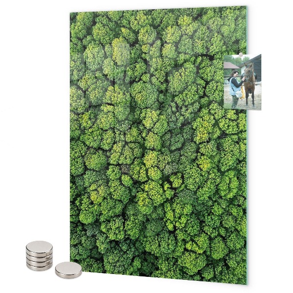 Magnetbild Bäume Natur Wald