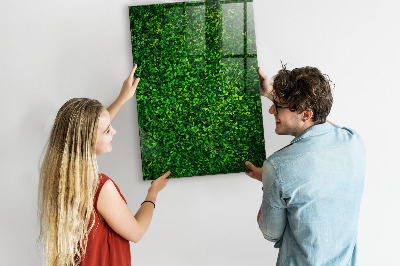 Magnettafel zum schreiben Grüne Foto-Pinnwand