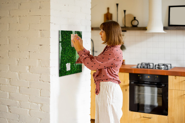 Magnettafel zum schreiben Grüne Foto-Pinnwand