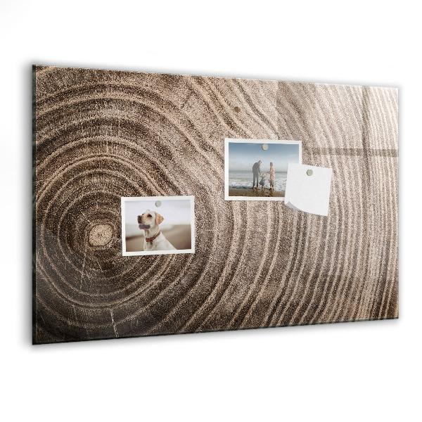 Magnettafel zum schreiben Memotafel mit Magneten und Fotos