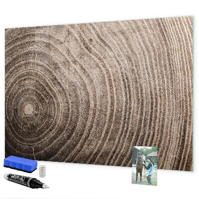 Magnettafel zum schreiben Memotafel mit Magneten und Fotos