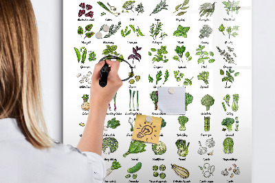 Schreib magnettafel Grünes Gemüse und Kräuter in Grafiken