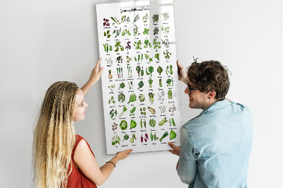 Schreib magnettafel Grünes Gemüse und Kräuter in Grafiken