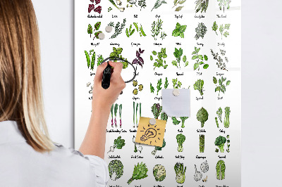Schreib magnettafel Grünes Gemüse und Kräuter in Grafiken