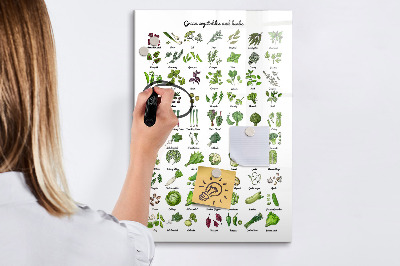 Schreib magnettafel Grünes Gemüse und Kräuter in Grafiken