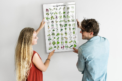 Schreib magnettafel Grünes Gemüse und Kräuter in Grafiken