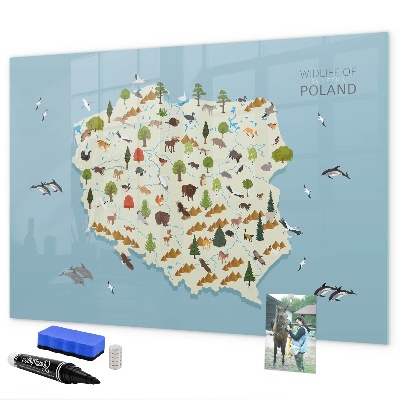 Schreib magnettafel Naturkarte von Polen mit Fotostandorten