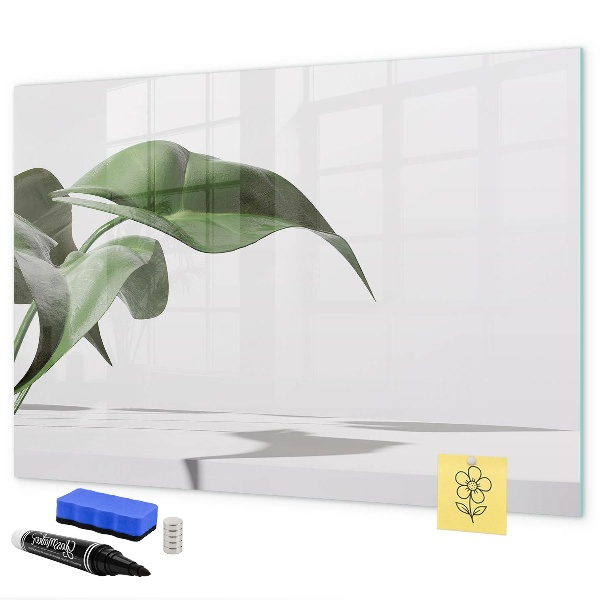 Magnettafel zum schreiben Pflanzen und Erinnerungen an der Wand