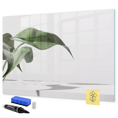 Magnettafel zum schreiben Pflanzen und Erinnerungen an der Wand