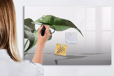 Magnettafel zum schreiben Pflanzen und Erinnerungen an der Wand