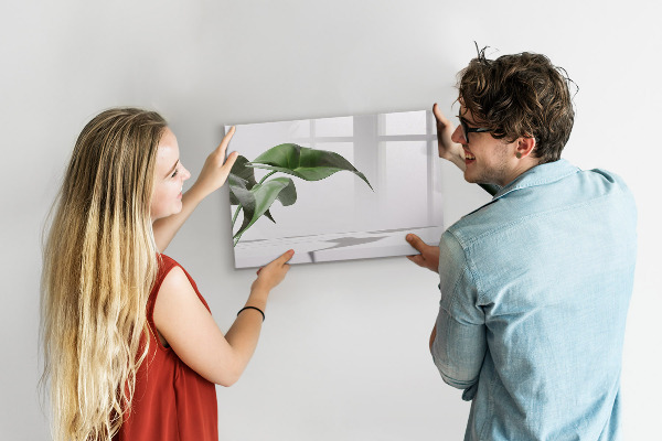Magnettafel zum schreiben Pflanzen und Erinnerungen an der Wand