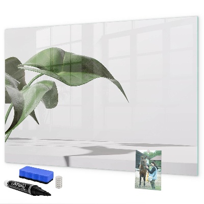 Magnettafel zum schreiben Pflanzen und Erinnerungen an der Wand