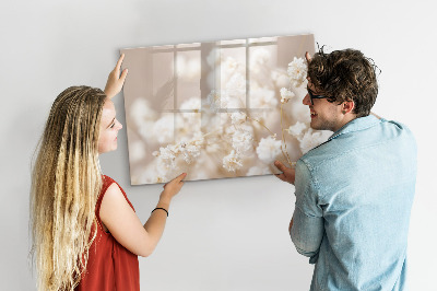Magnettafel zum schreiben Ein kreativer Ort für Erinnerungen und Fotos