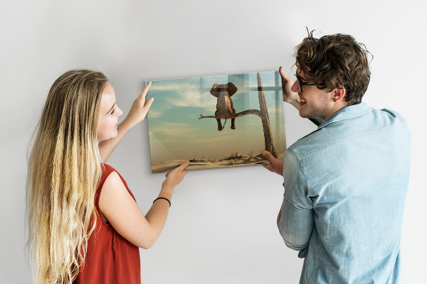 Schreib magnettafel Elefanten und Erinnerungen an der Wand