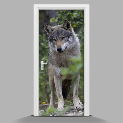 Selbstklebende Türposter Der stattliche Wolf