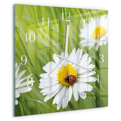 Wanduhr quadratisch Gänseblümchen