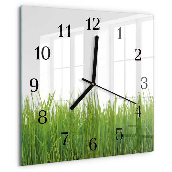 Wanduhr aus glas Gras