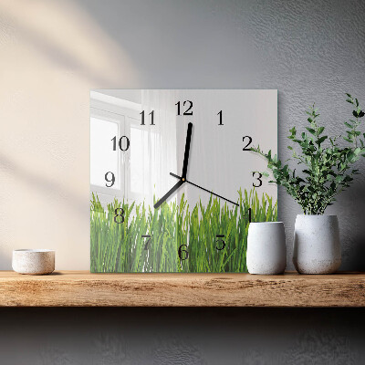Wanduhr aus glas Gras